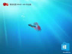 <font color='#FF0000'>番茄花园win8.1制作修正版64位v2025.06免激活</font> 