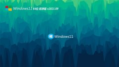 ϵͳ֮Windows11 ѡ64λ 2021.09 