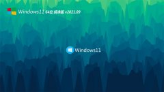 ϵͳ֮Windows11 ѡ64λ 2021.09